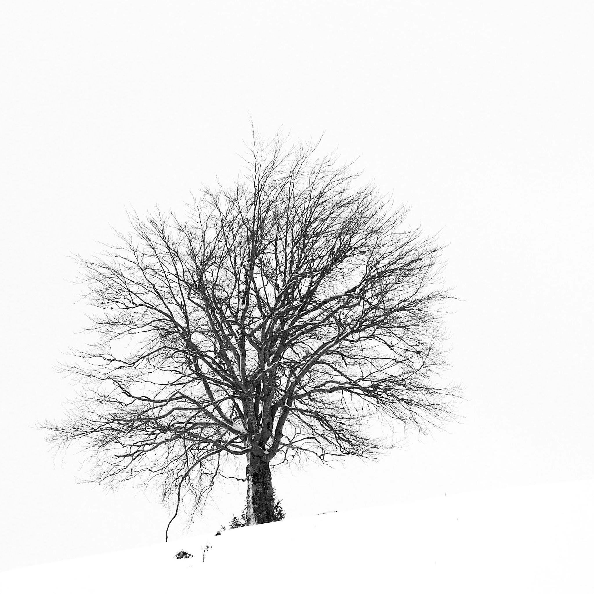 Go to iuliu illes's profile