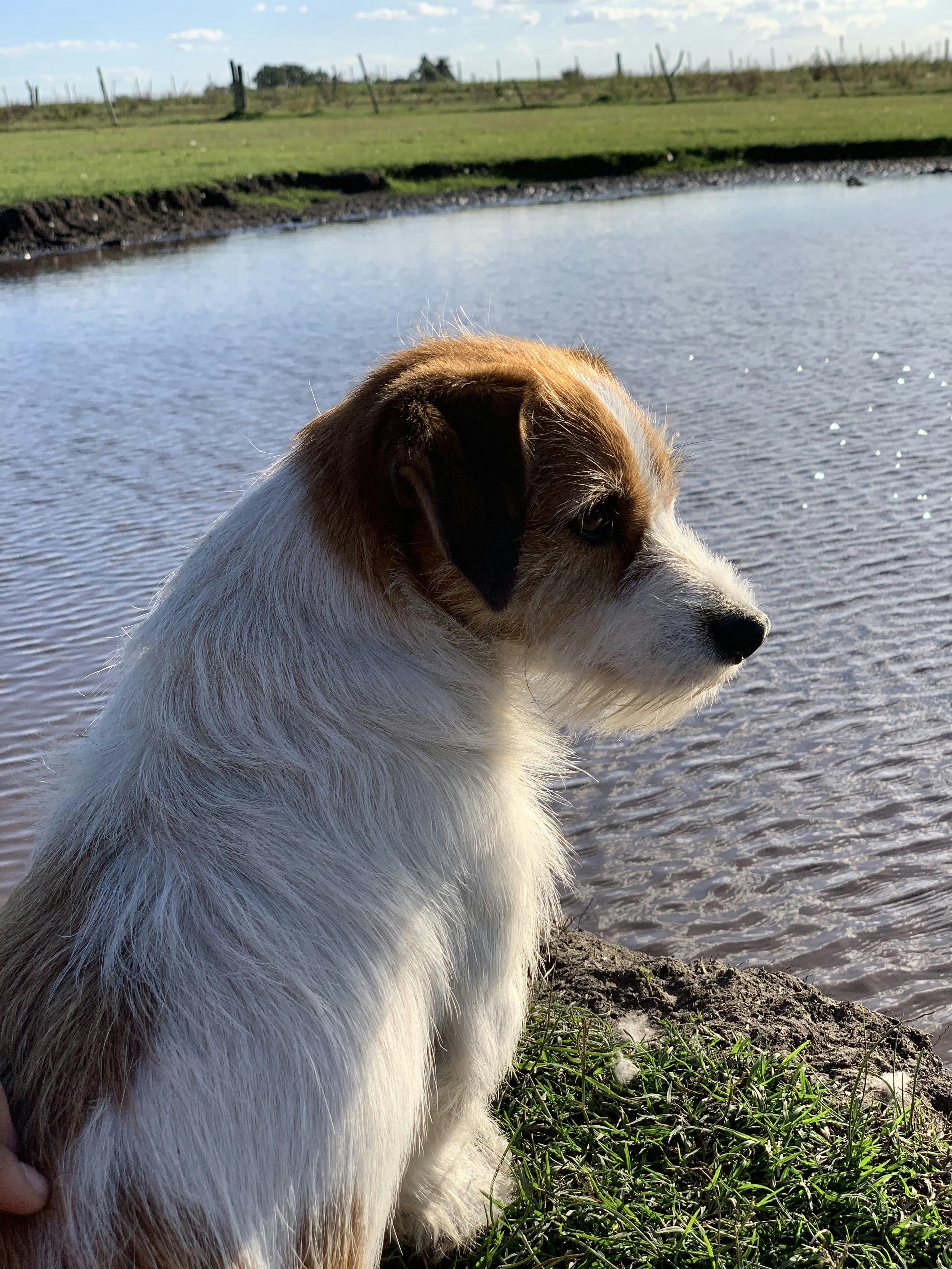 Ve al perfil de Brian David