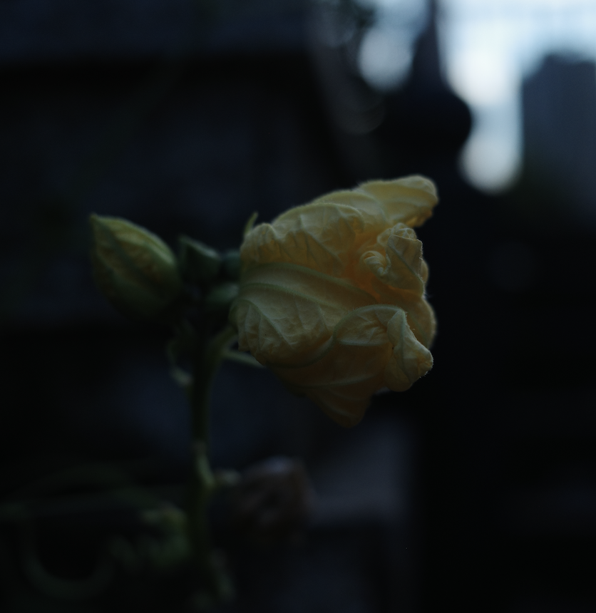 Zum Profil von 022 873