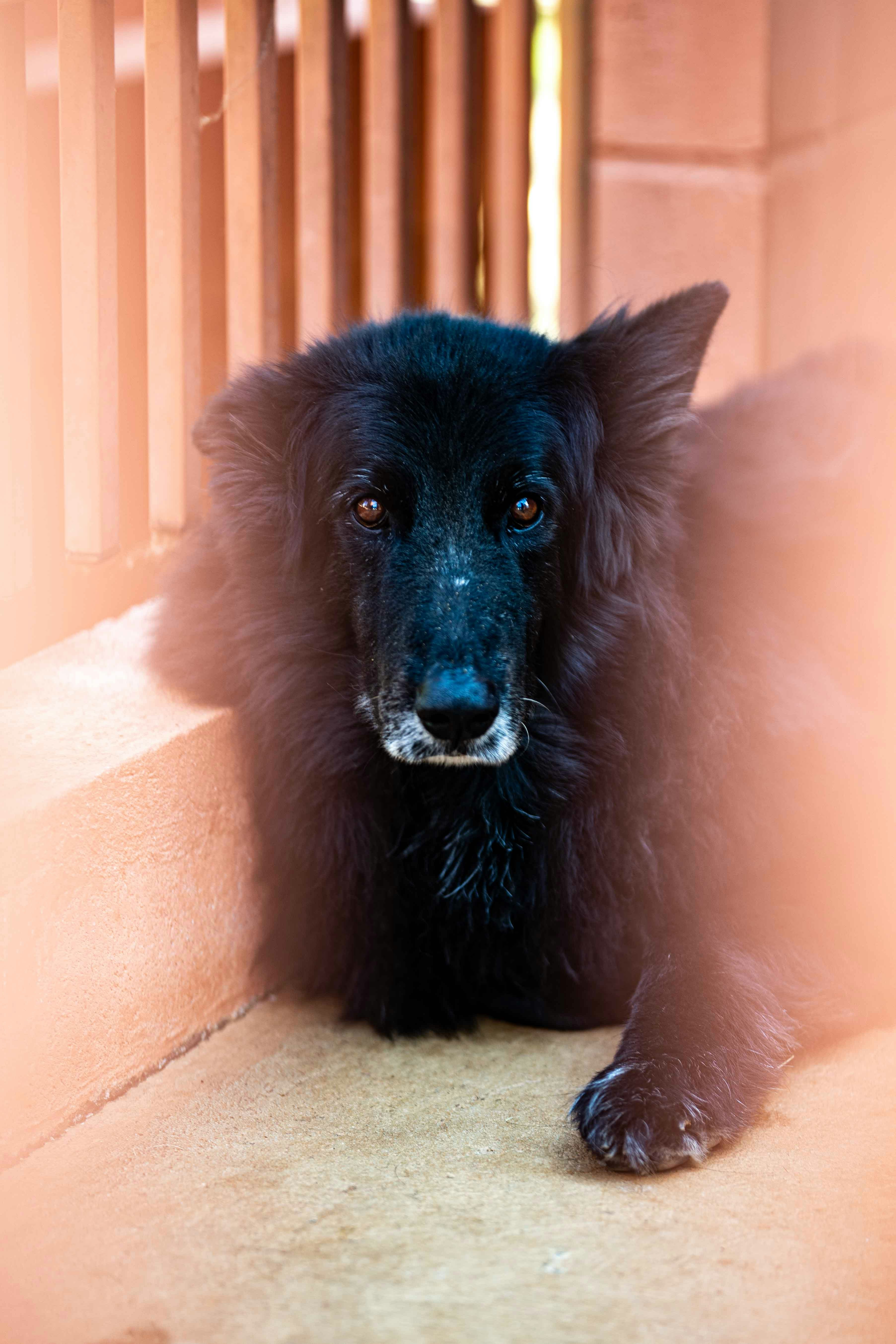 Kevin Langのプロフィールを見る