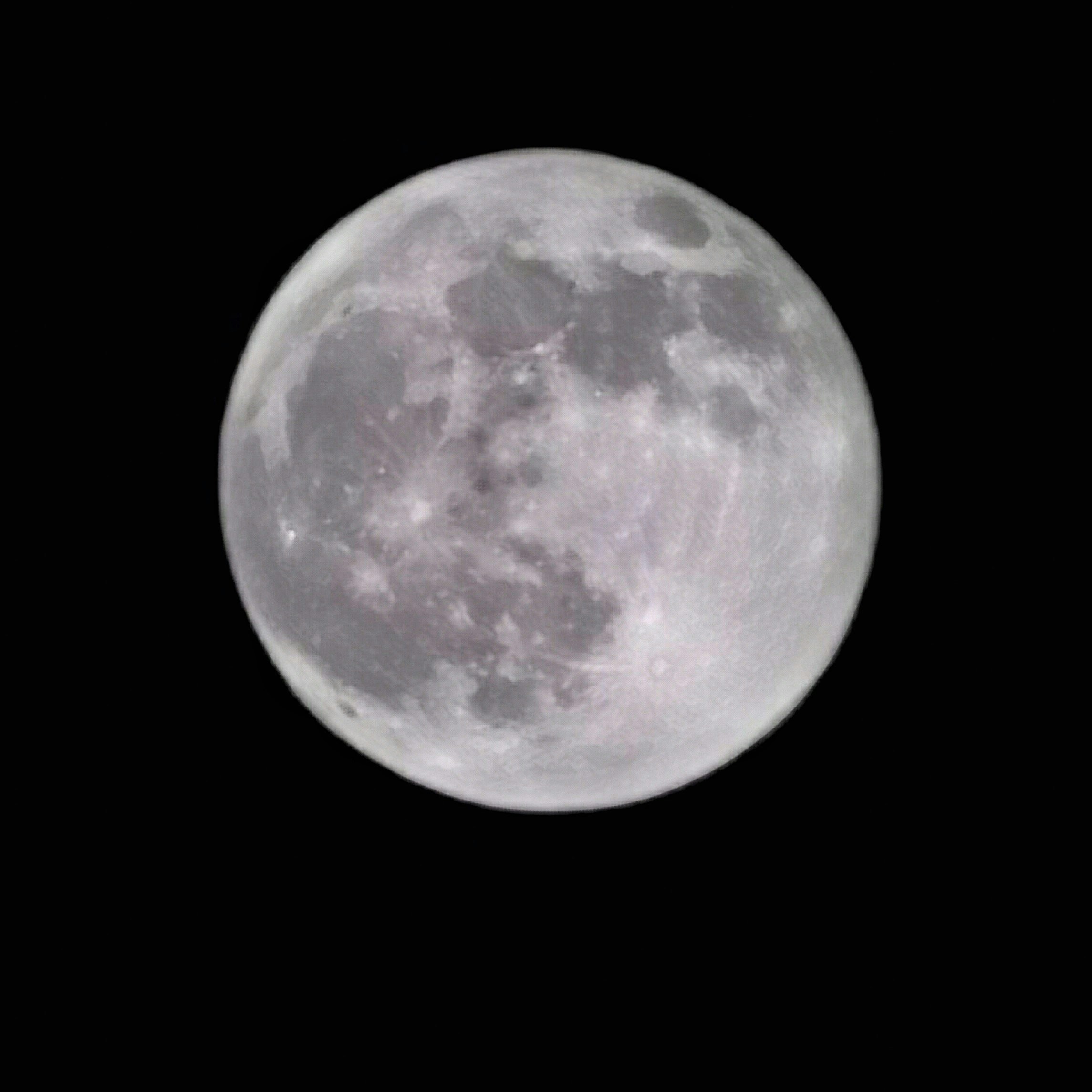 Go to Snowscat's profile