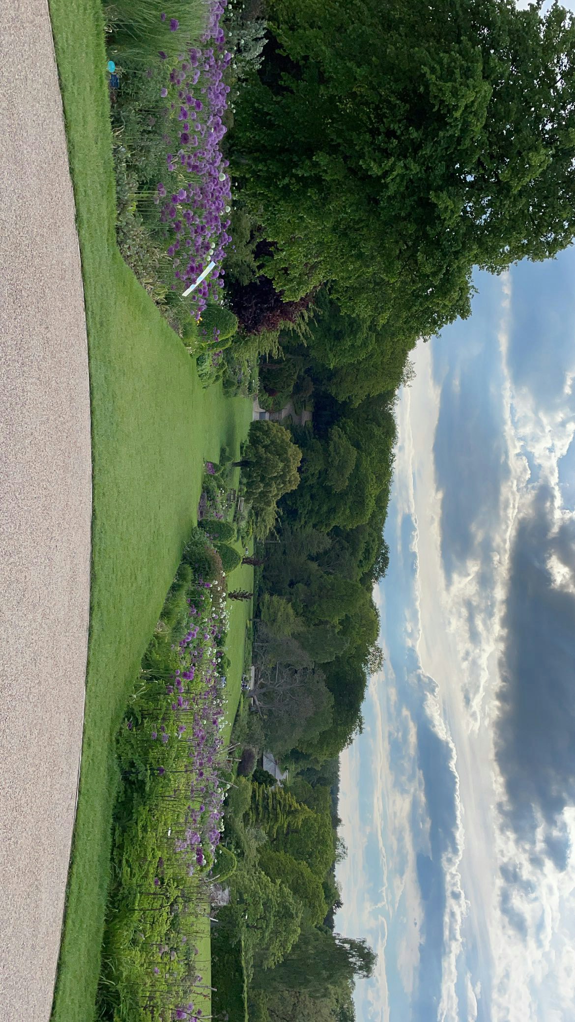 Avatar dell’utente Faisal Manga