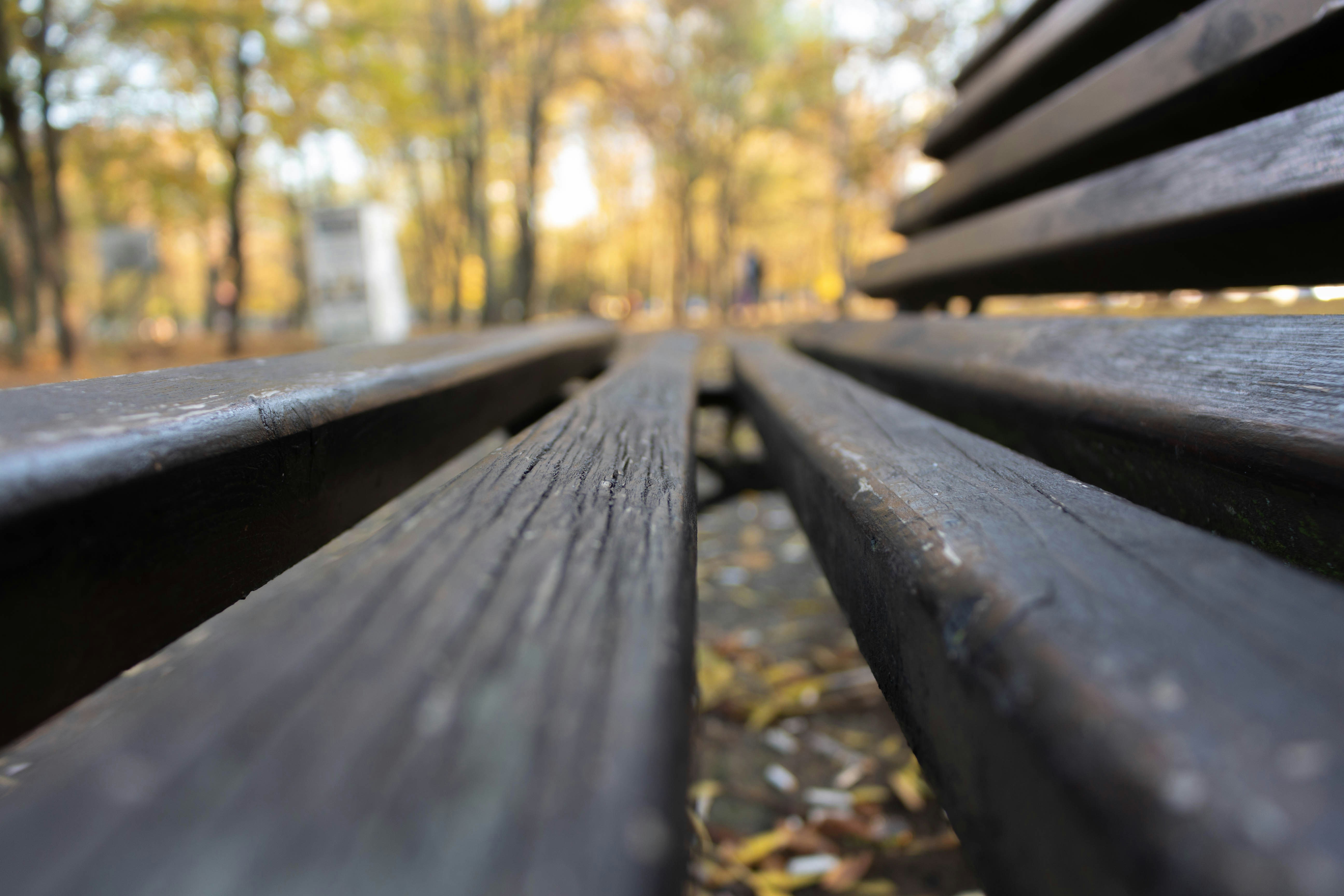 Go to Miglena Georgieva's profile