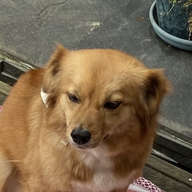 Go to Pierre Gui's profile