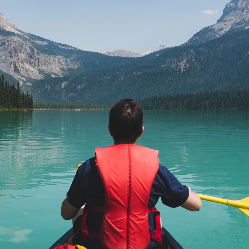 Go to Nick Zheng's profile