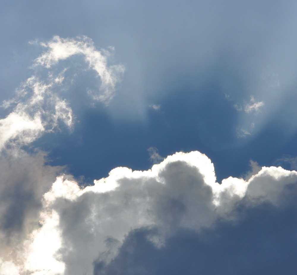 Go to Michele Freschi's profile