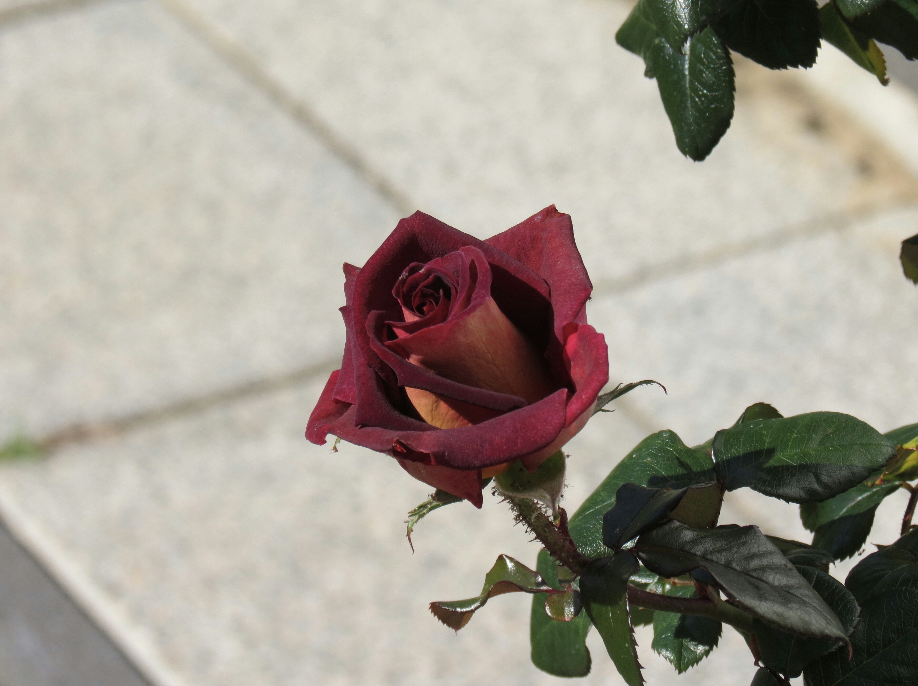 Go to So Geun's profile