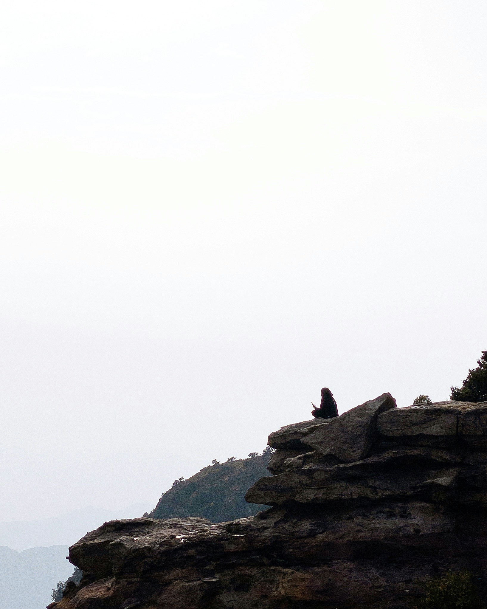 Accéder au profil de ali shafei