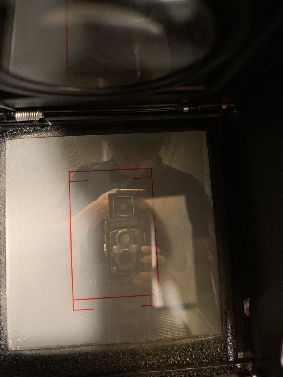 Go to Shawn Augustine's profile