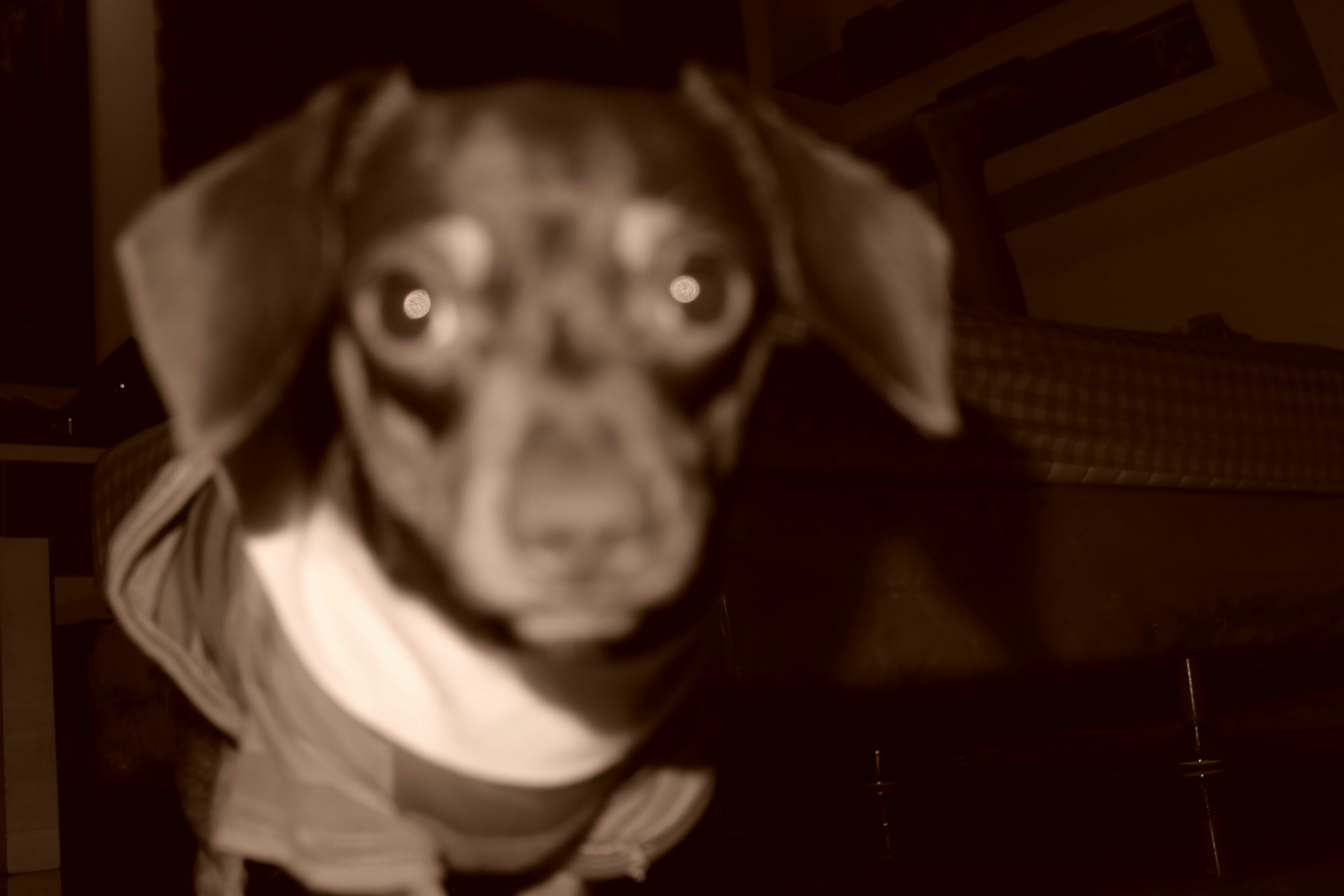 Go to James Tiono's profile