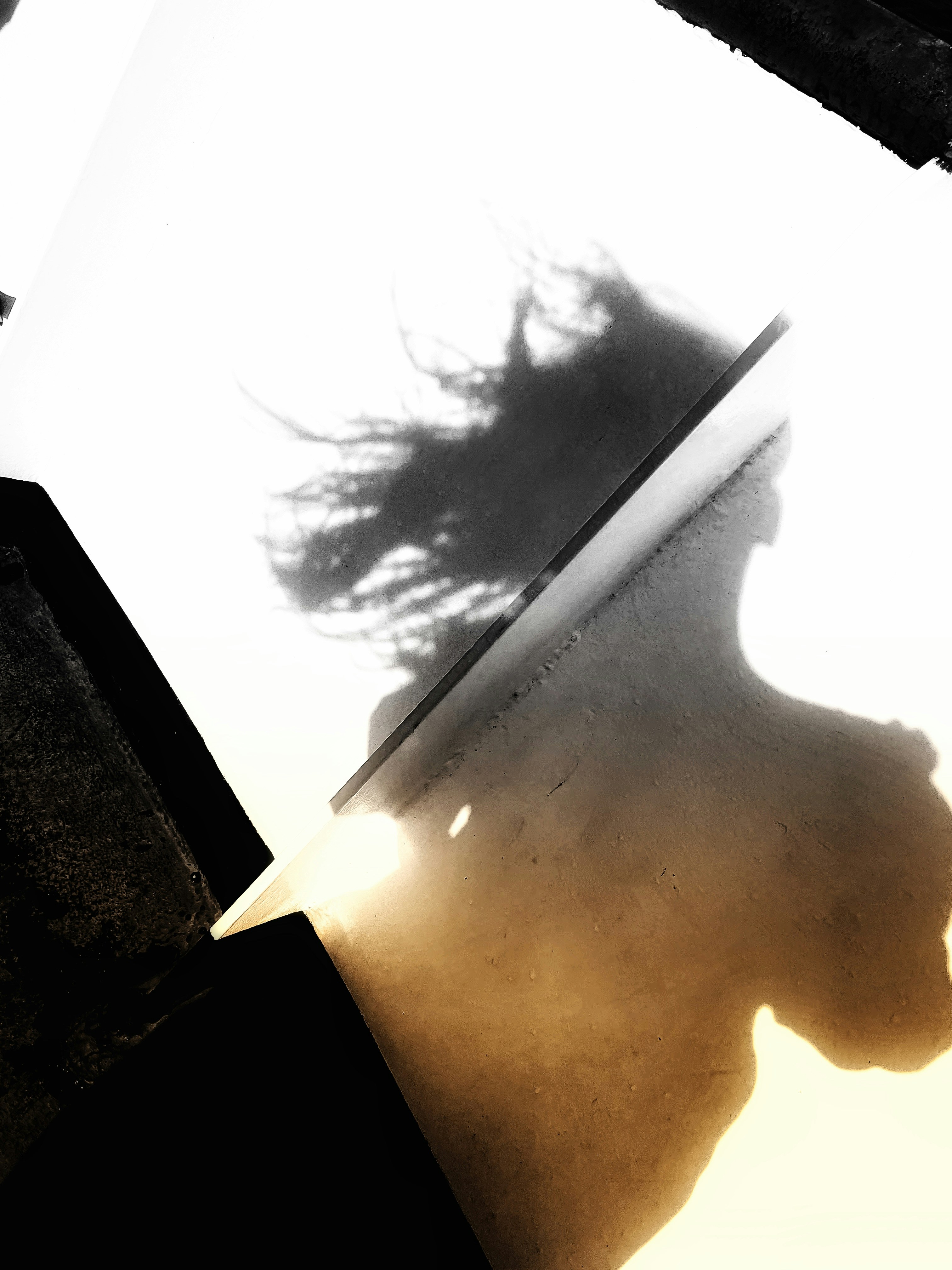 Go to Mahz Alam's profile