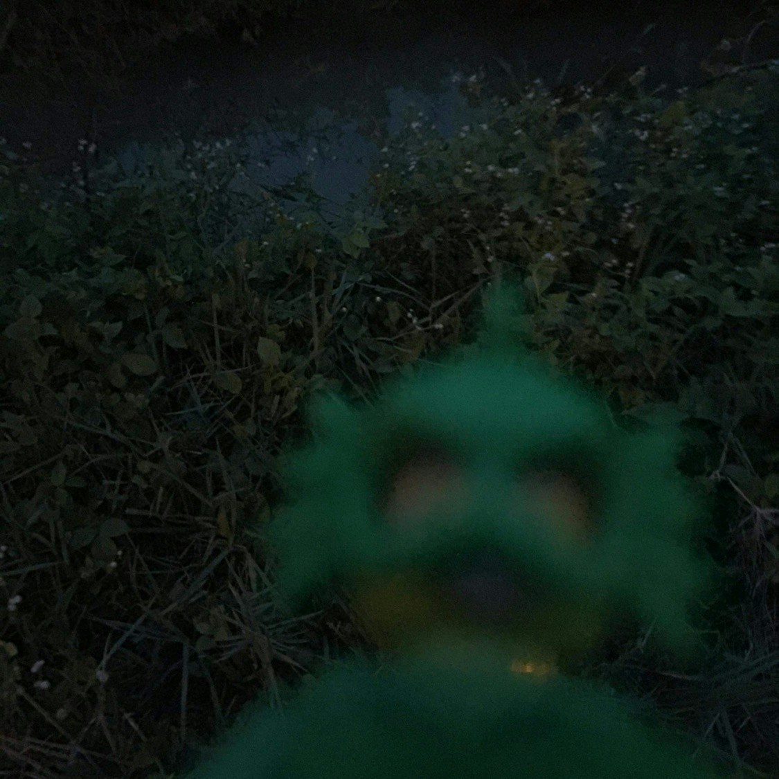 Ir para o perfil de Hai Pham