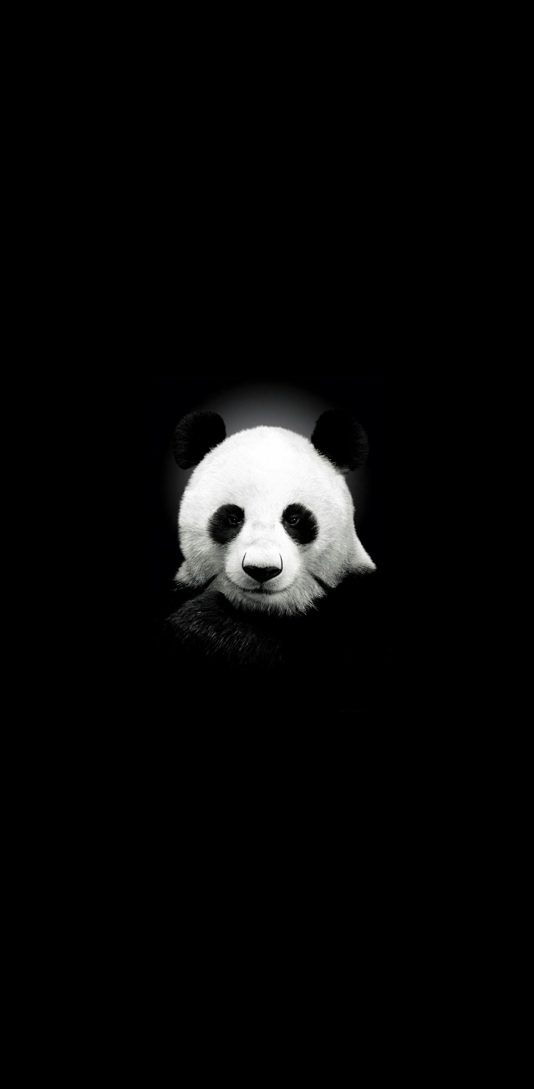 Avatar of user Suraj Bindra