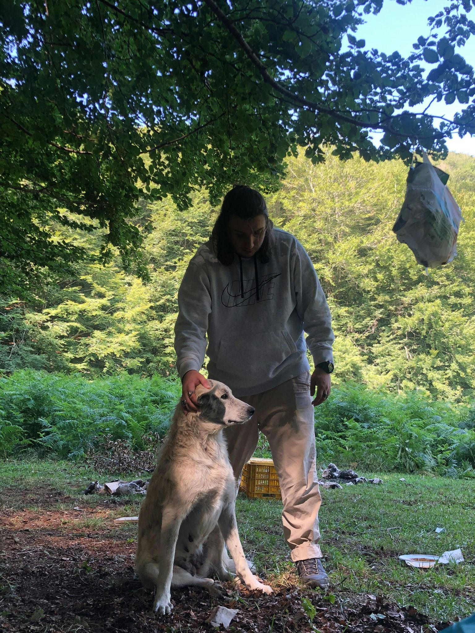 Go to Daniele Di Biase's profile