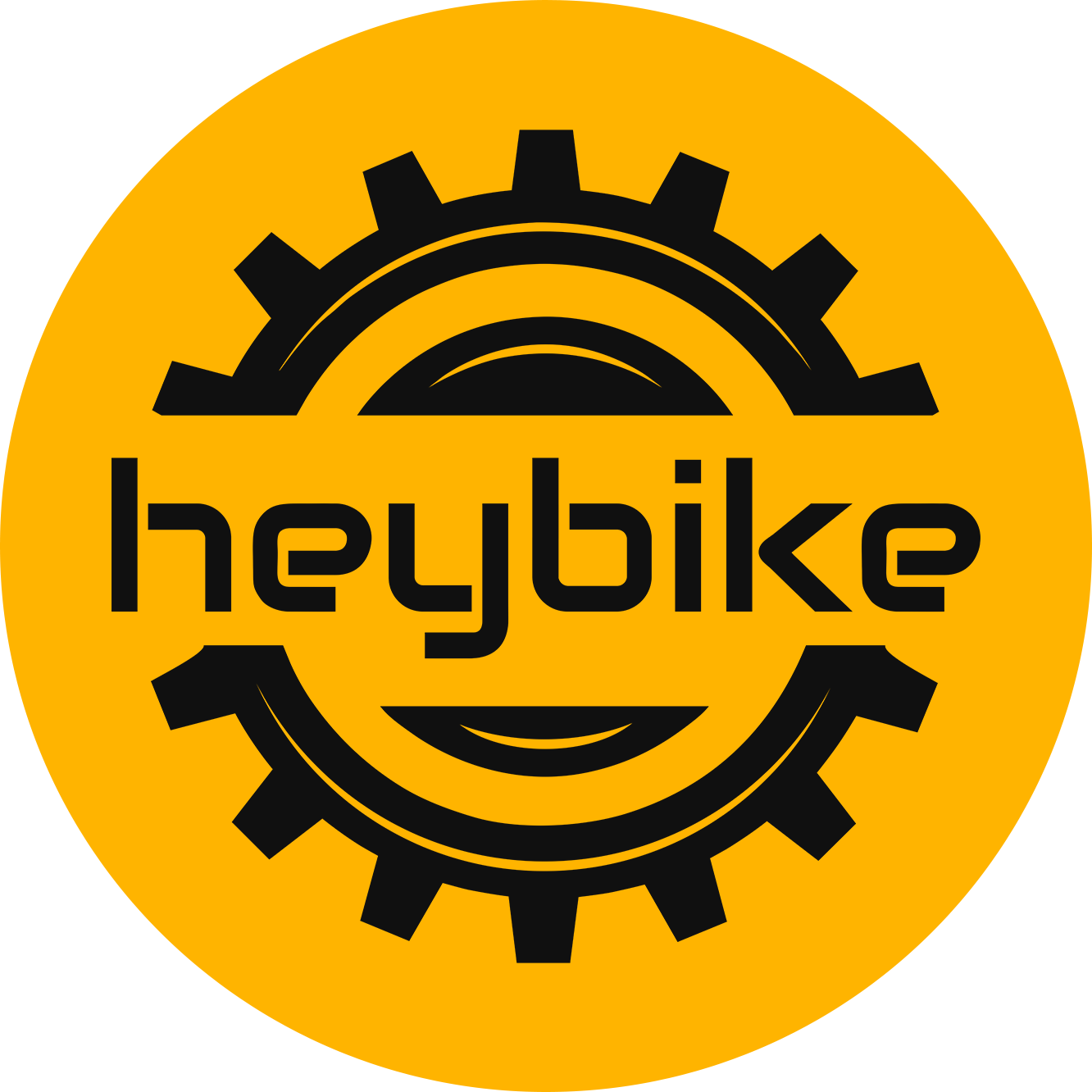 Avatar of user Heybike