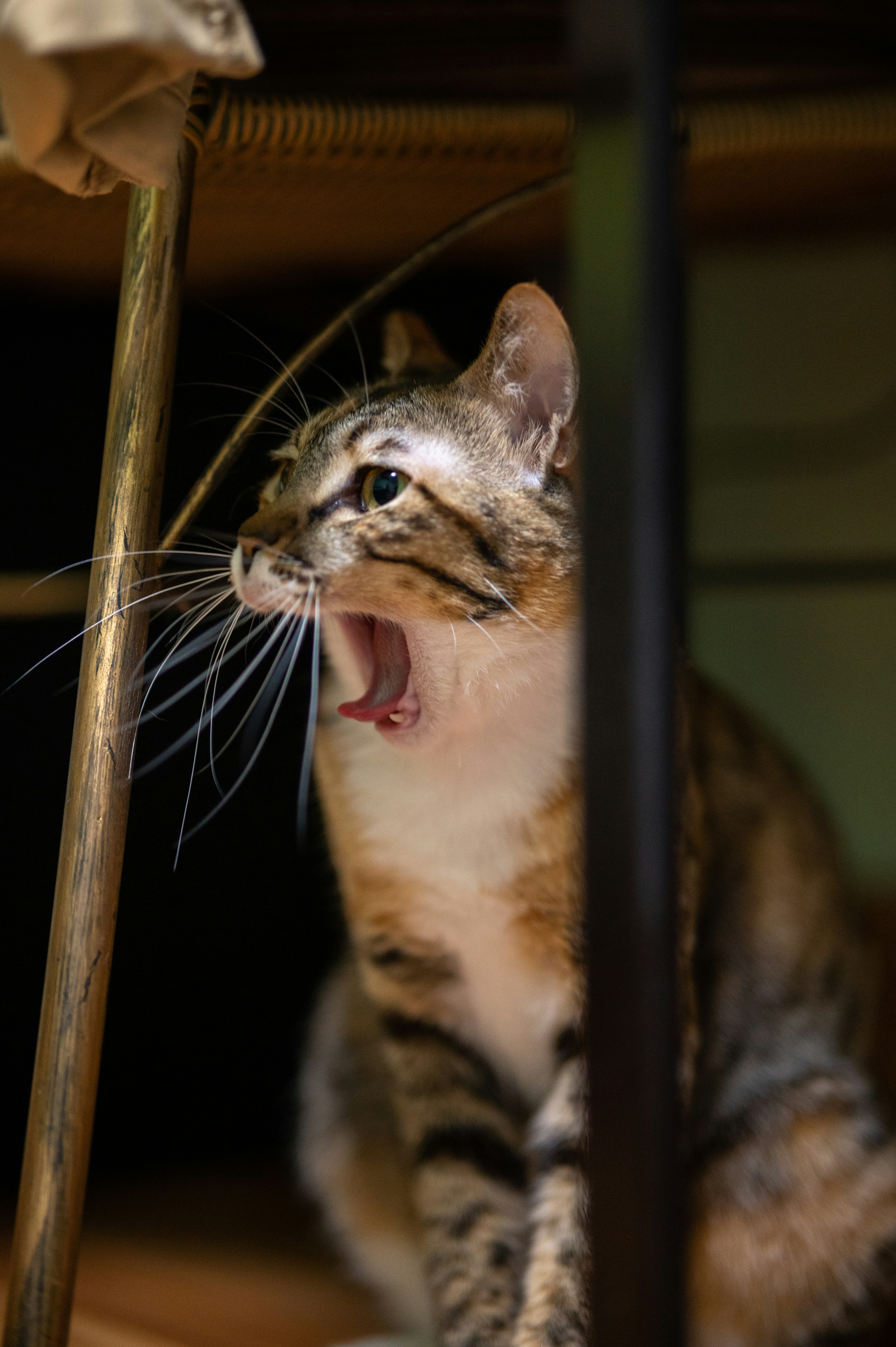 Zum Profil von Valen Don