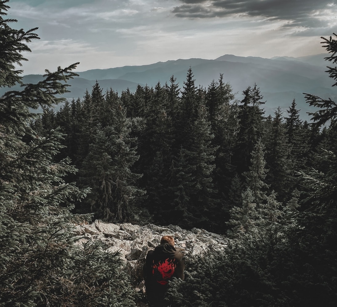 Avatar del usuario Marius Berceanu