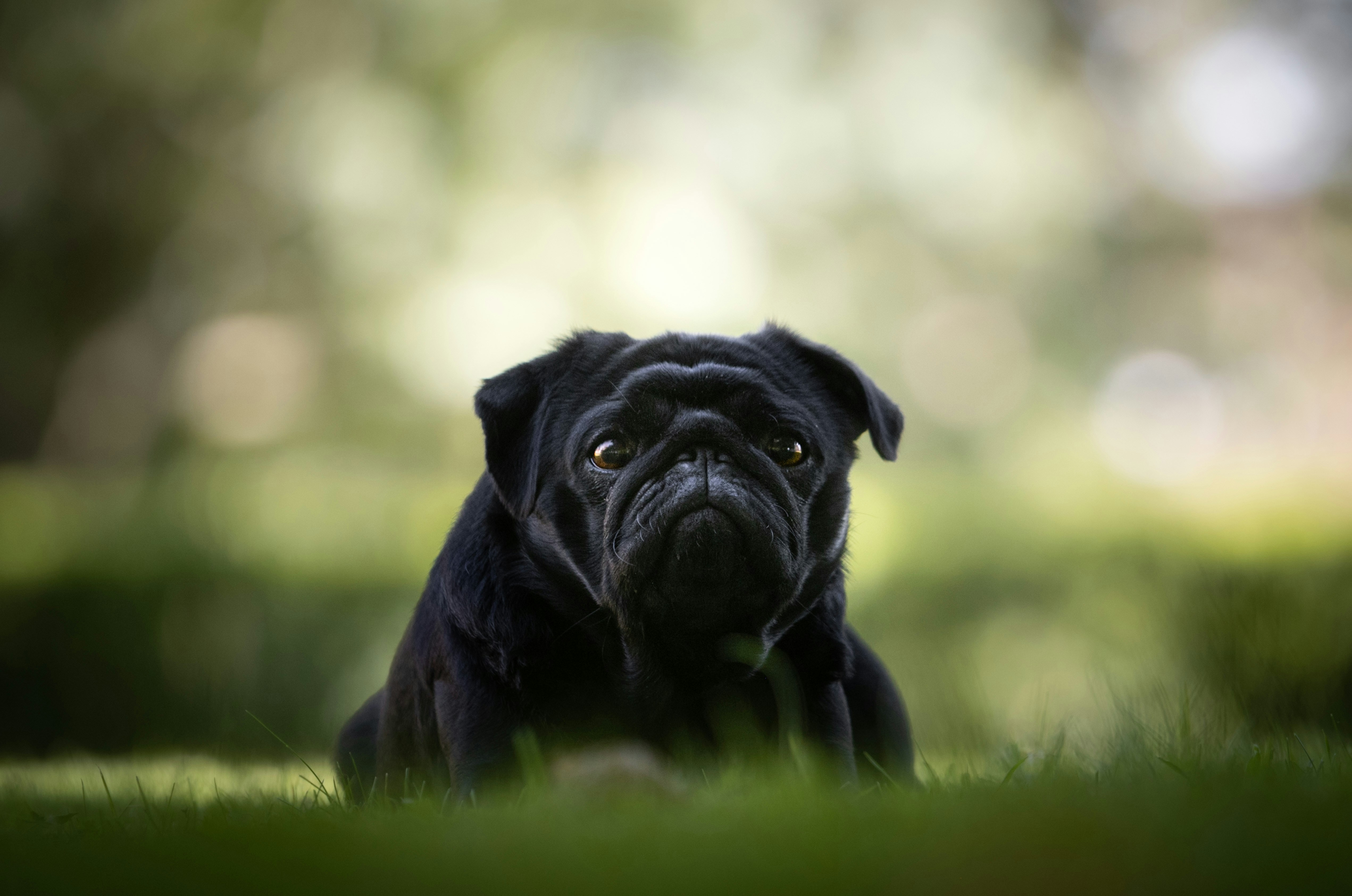 Avatar of user Indi Palmer