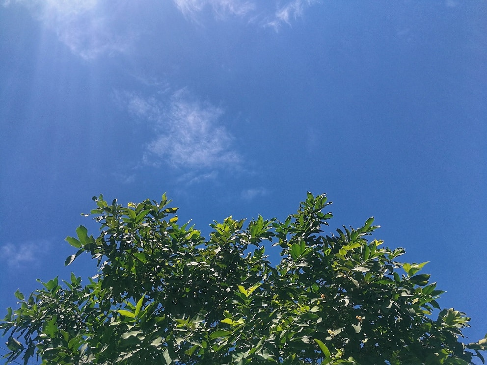 Go to jk retiza's profile