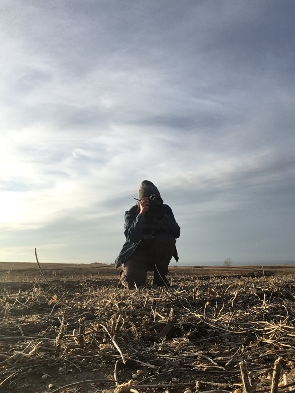 Go to D. Gibson's profile