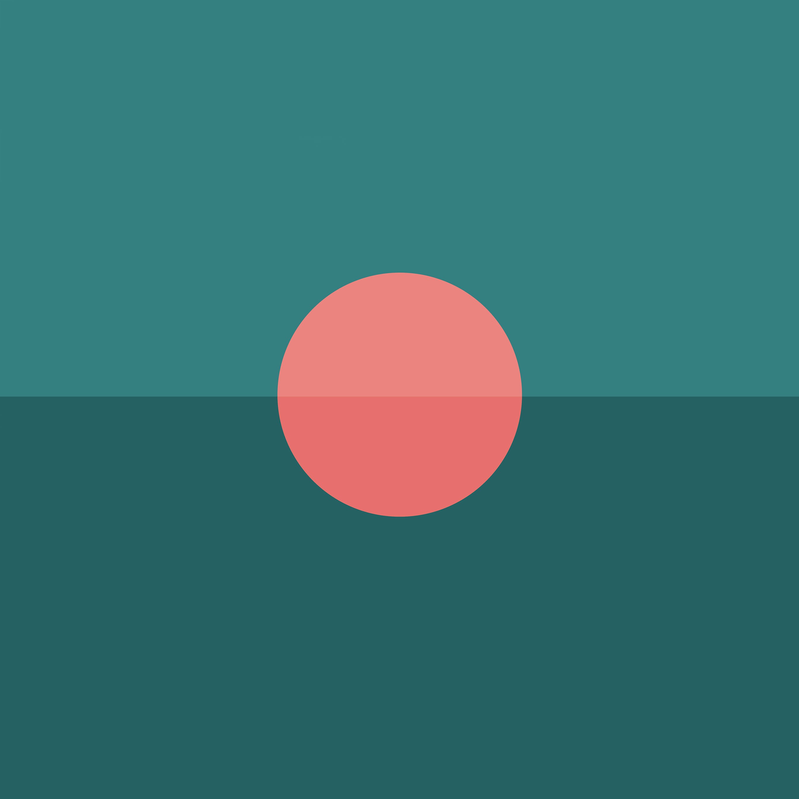 Unsplash profile picture for @shrub