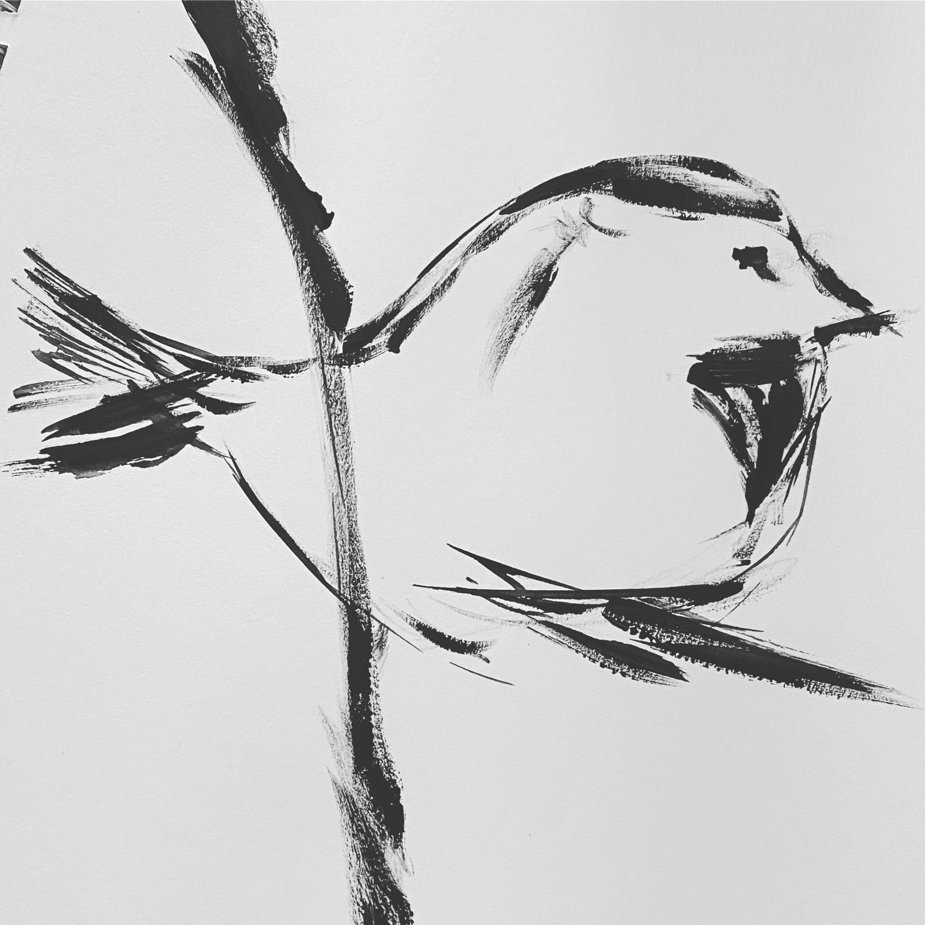 Go to Jason Metnick's profile