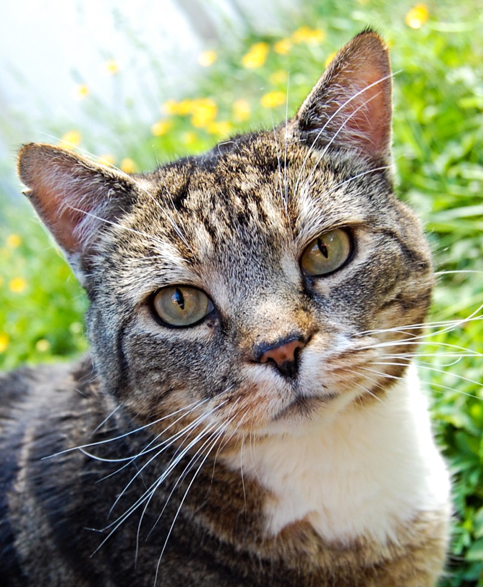 Go to Jude Mack's profile