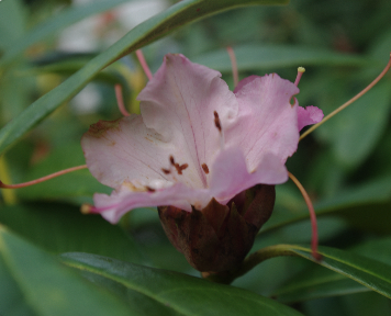 Go to Alexander Turner's profile