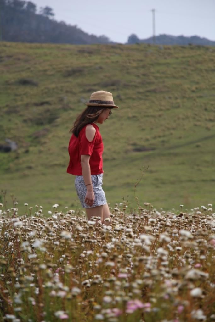 Zum Profil von Agustin  Gunawan