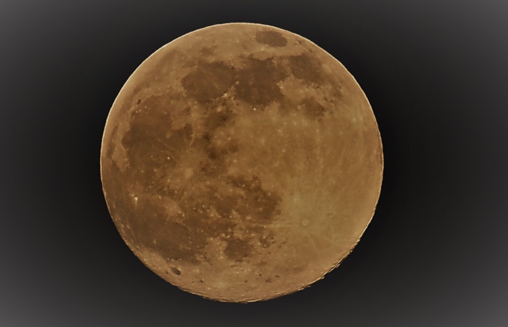 Go to Michael Schofield's profile