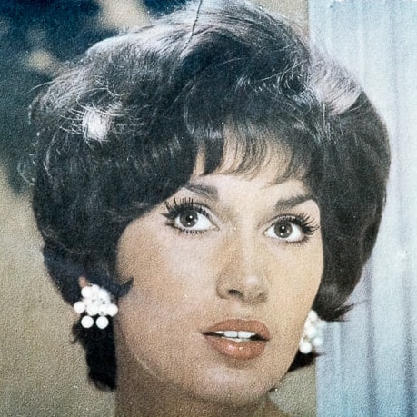 Go to Social History Archive's profile