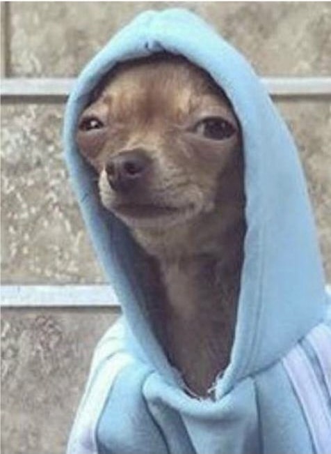 Go to Cristian Lungu's profile