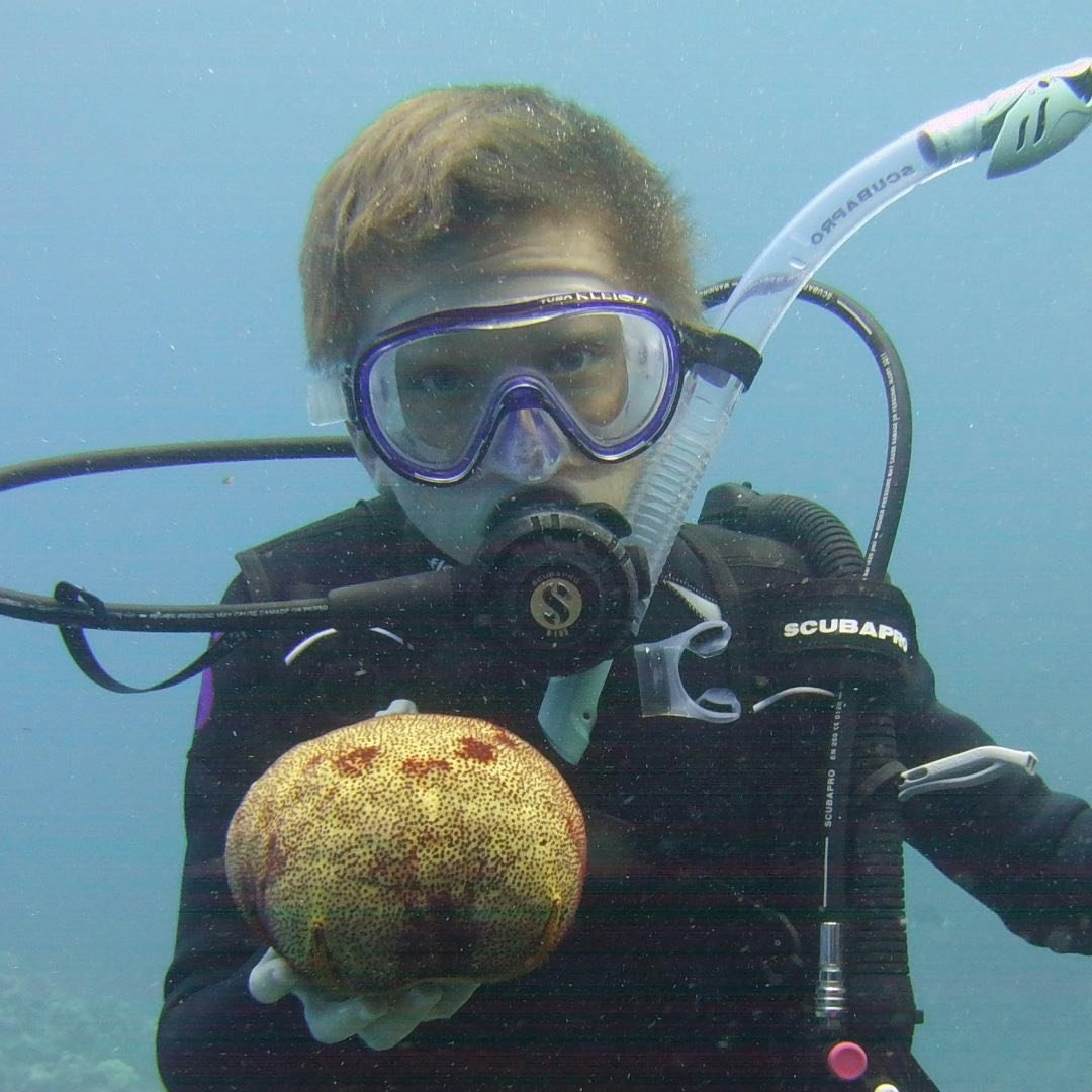 Accéder au profil de Owen Hills-Klaus