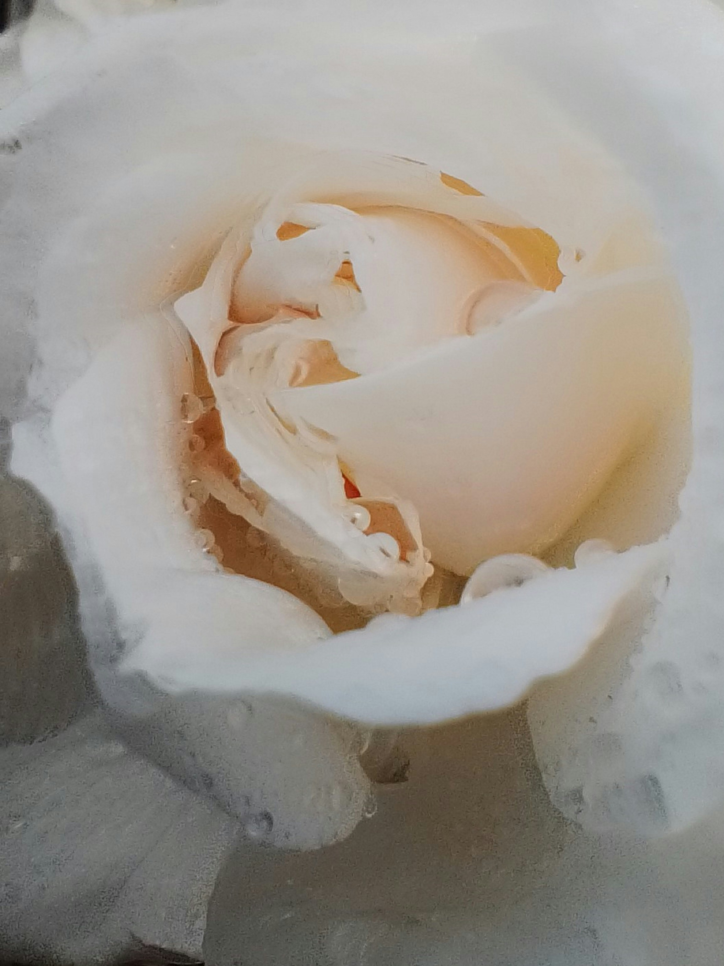 Go to Ben Jones's profile