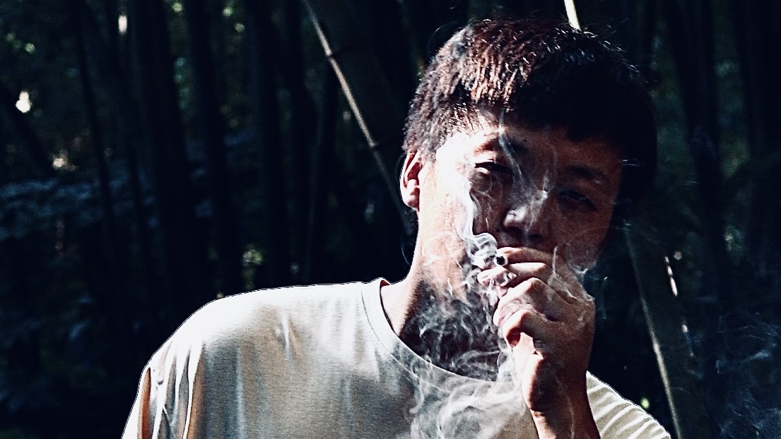 Go to ZHANG XIN's profile