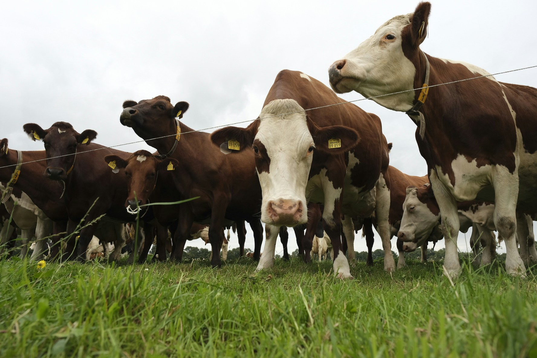 Go to Stefanie Poepken's profile