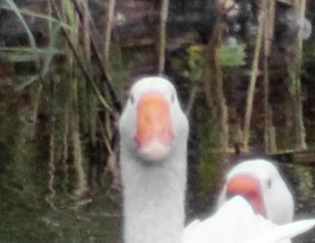 Go to Robert Franklin's profile