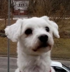 Go to Laura Mann's profile