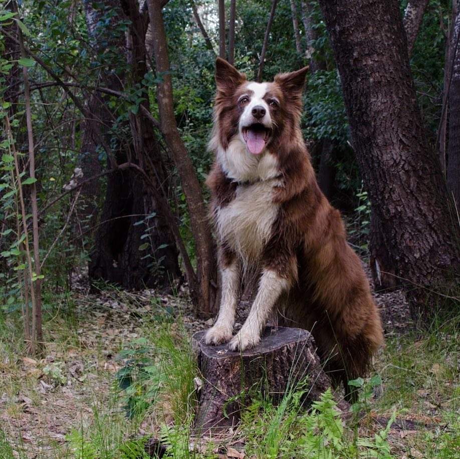 Go to Melissa Whitecross's profile