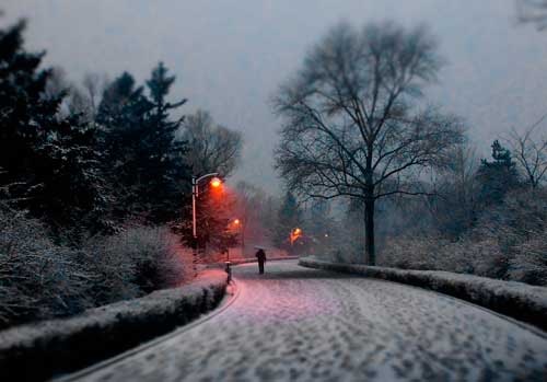 Go to Edgar Alanis's profile