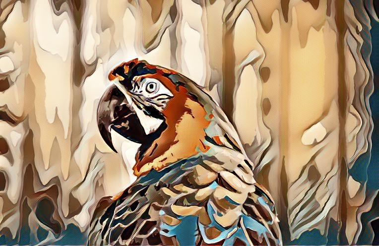 Go to Dawn McDonald's profile