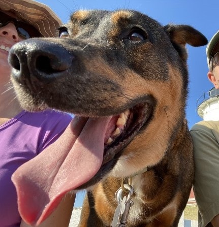 Go to Scott Mortimer's profile