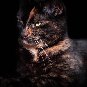 Go to Theresa Brand's profile