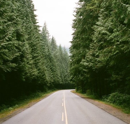 Go to Matt Drenth's profile