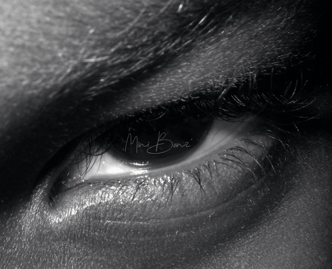 Go to Mini Bonz's profile