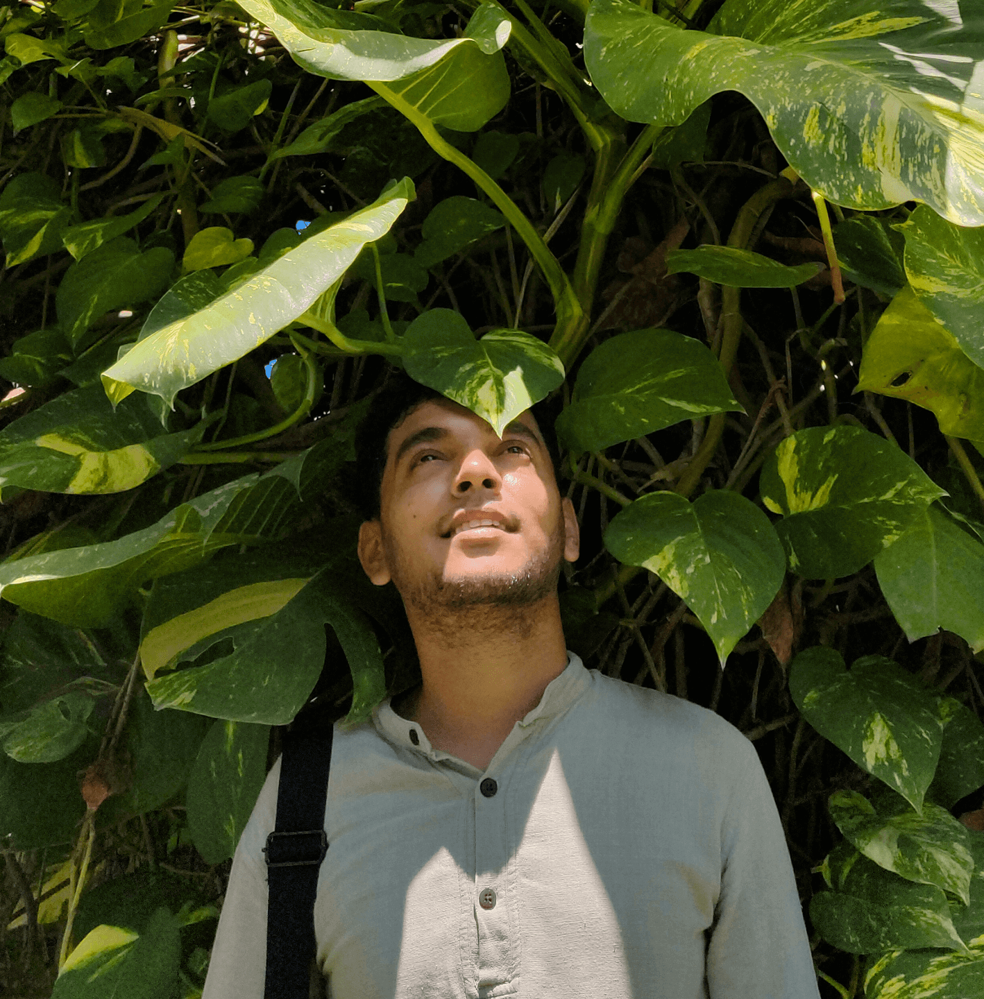 Go to Ronak Naik's profile