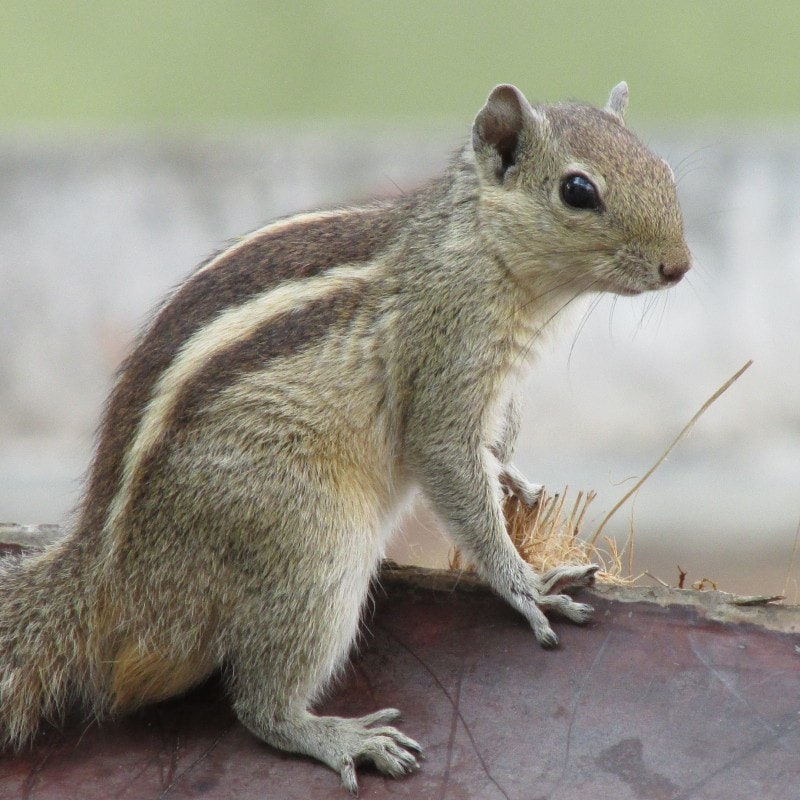 Go to Murali's profile