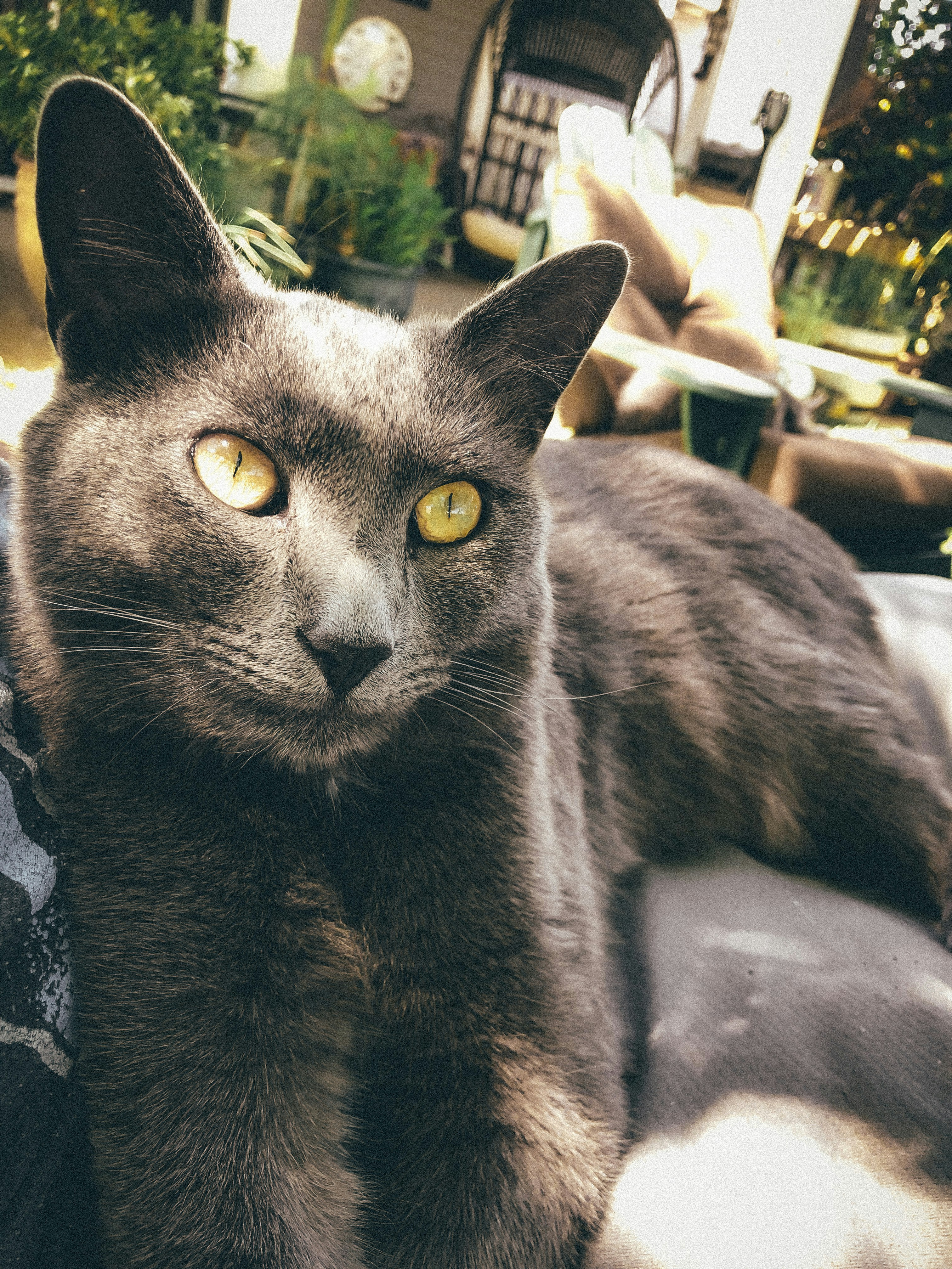 Go to Jazz Borquez's profile