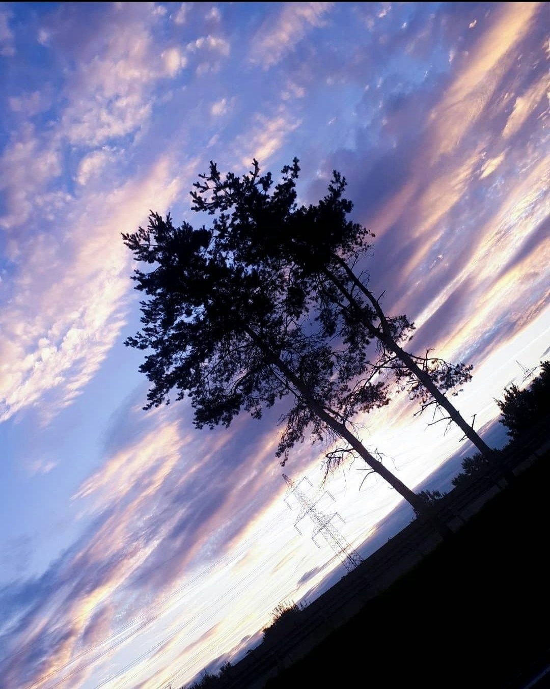 Avatar of user Victoria Paar