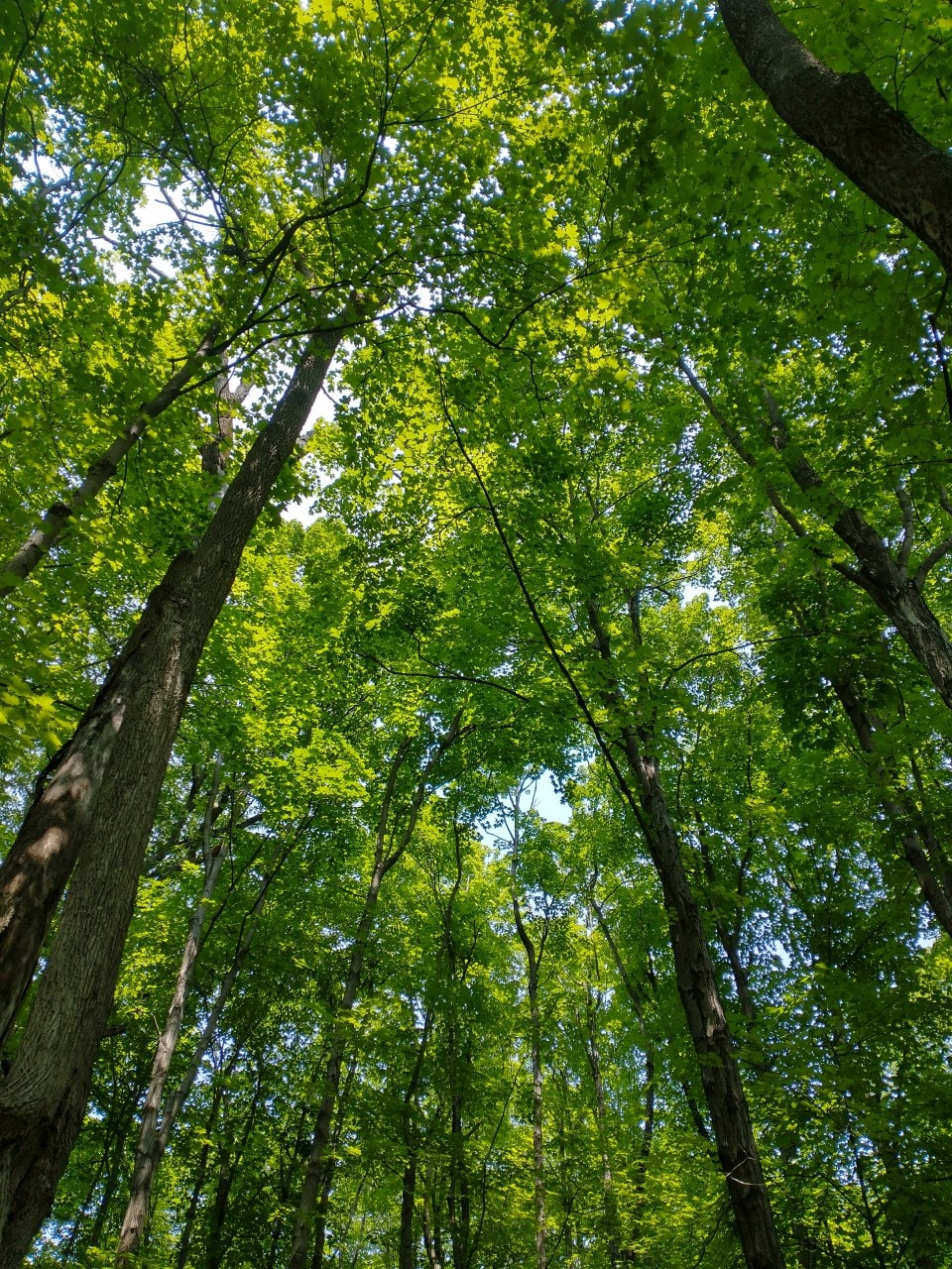 Go to jabberwocky28's profile